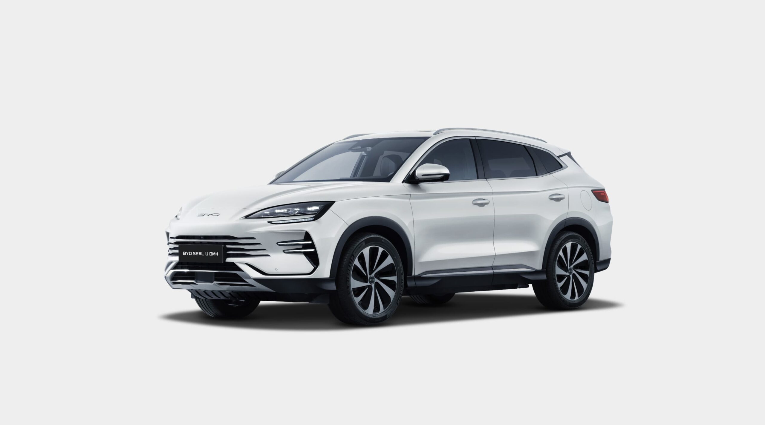 Поступокl-u-dmi-экстерьер Seal-u-dmi-exterior-04-white-l